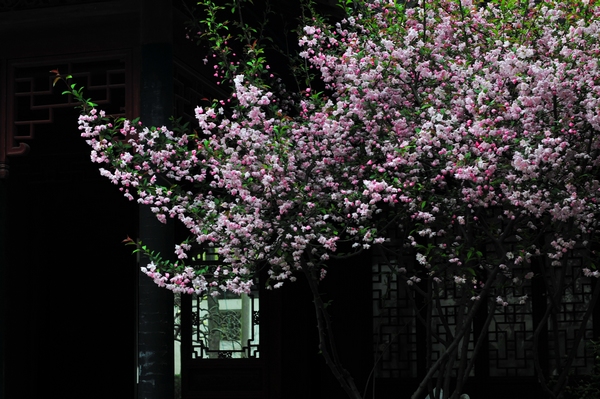 è￥??o??μ·?￡&nbsp;