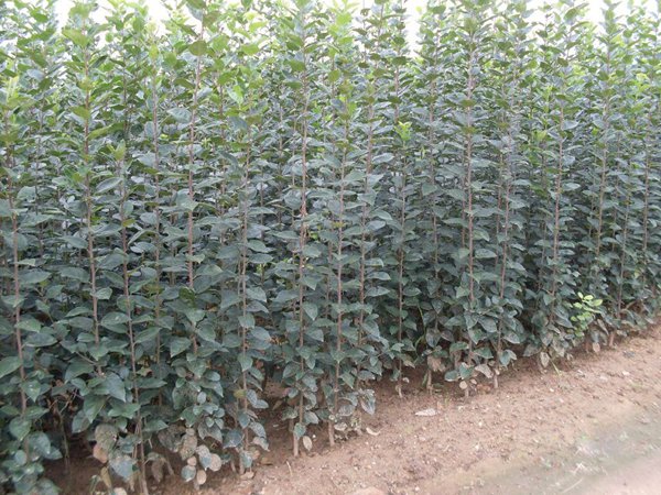 è￥??o??μ·?￡&nbsp;