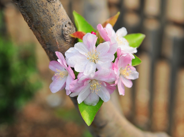 è￥??o??μ·?￡&nbsp;