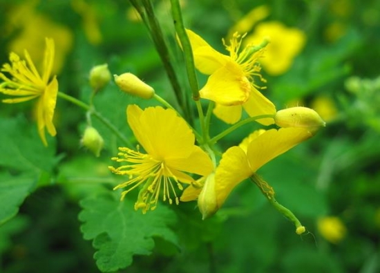 1635564762388888.jpg 1635564762388888.jpg