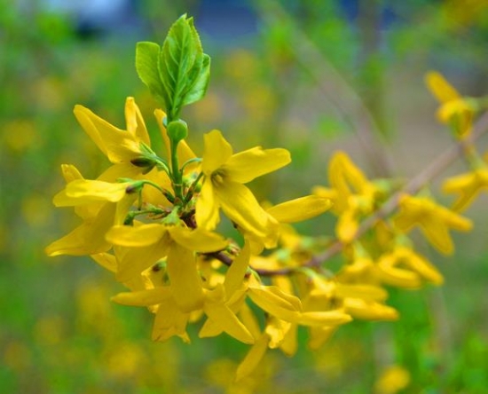 1635565998627533.jpg 1635565998627533.jpg