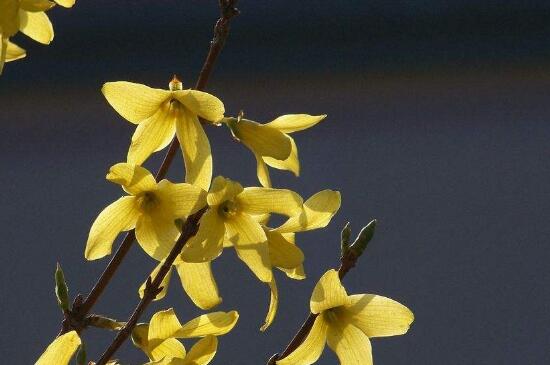 1635566018640460.jpg 1635566018640460.jpg