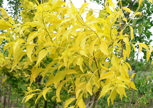 查看源圖像 查看源圖像