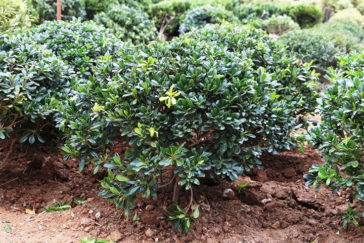 1649403623371297.jpeg 552406b2d9c1098033b6ec4b76b38524.jpeg