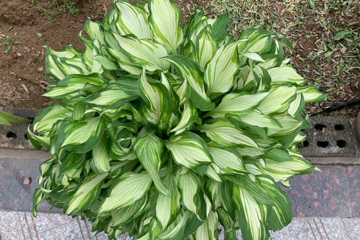 1655514800895858.jpg 3.jpg