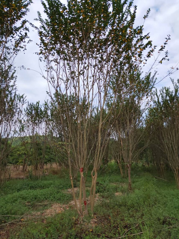 1671586357986857.jpeg a5ebc3db24a50930cb899d0f1b458702.jpeg