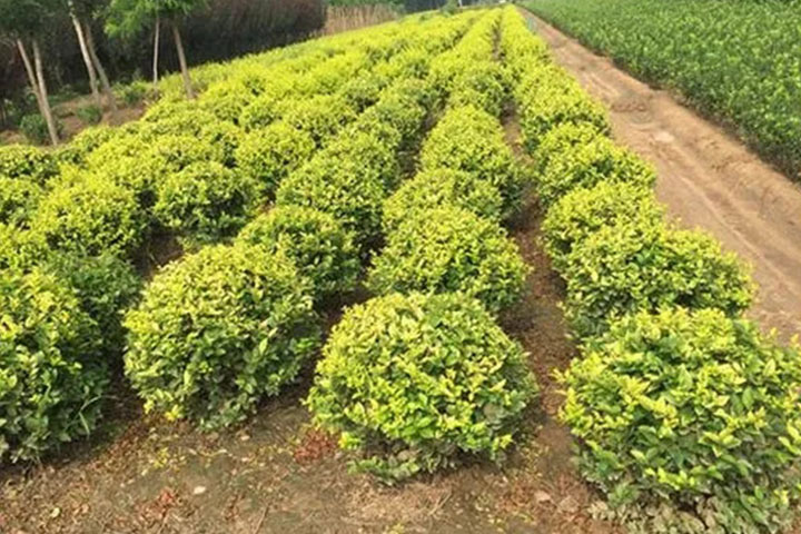 1686320585553117.jpg 54437b93afb7a3785a03ed336cc9ef48_1686320361486085.jpg