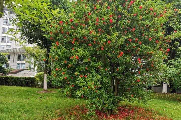 1686321258631203.jpg 0db9b4c3cf55bfd88f8aa24a4dbee55c_1686321004403328.jpg