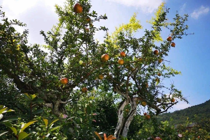 1686321288216452.jpg 55fdde1cf1c018817563cb183021ce98_1686321027292451.jpg