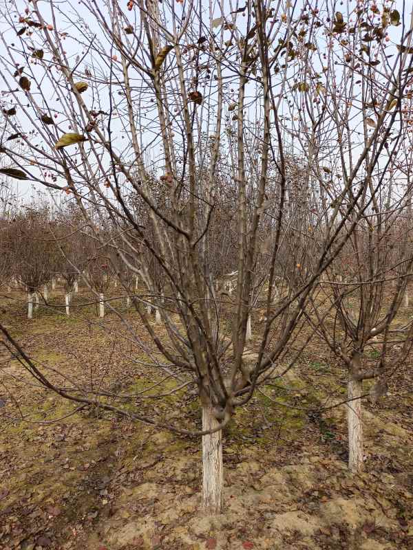 1734328057658585.jpg IMG_20211025_125621.jpg