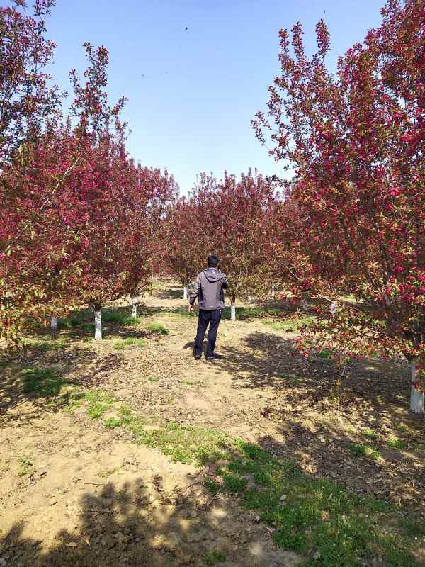 1734329256284426.jpg IMG_20210407_095400.jpg